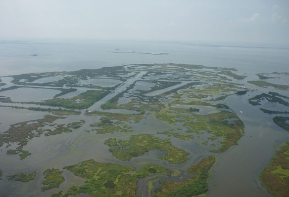 marsh-creation-louisiana