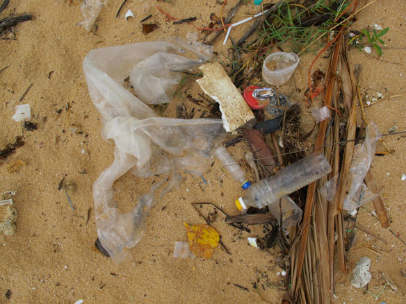 plastic-pollution-coastal-care