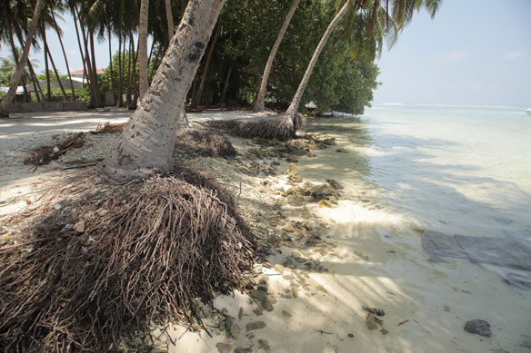 sea-level-rise-maldives