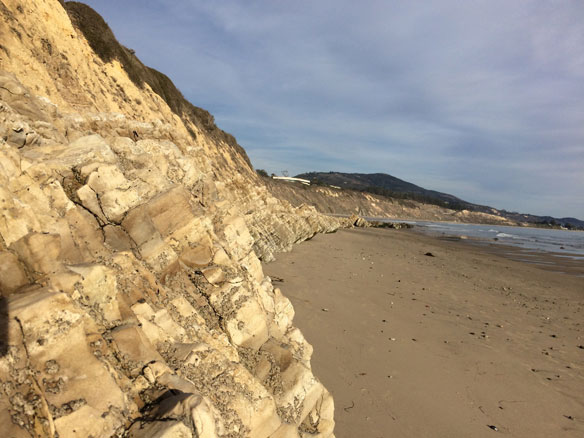 rincon-coastal-care