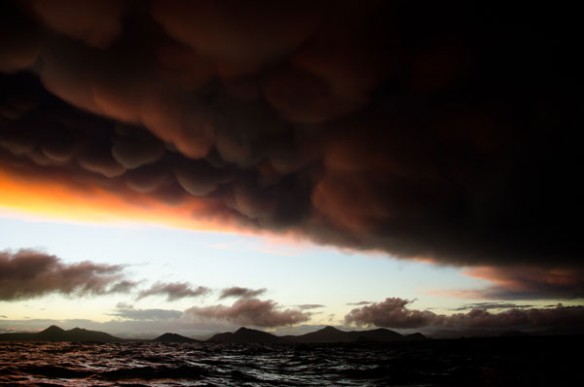abegg-tasmania