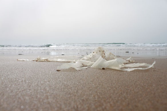 plastic-pollution-coastalcare