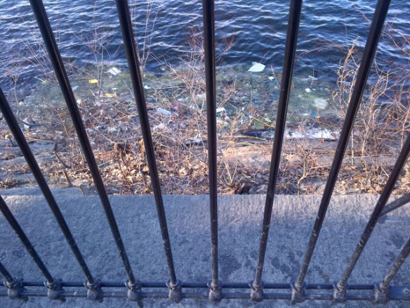 plastic-pollution-slava-coastal-care