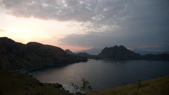 new-zealand-1