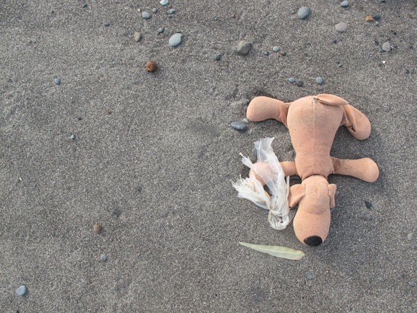 plastic-pollution-coastalcare