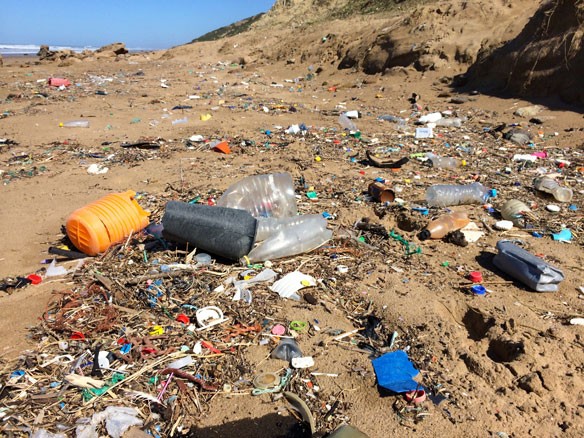 plastic-pollution-coastal-care