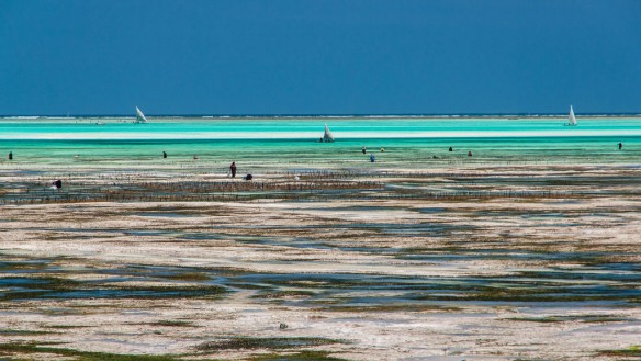 zanzibar