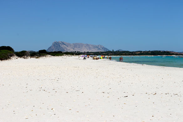 sardinia