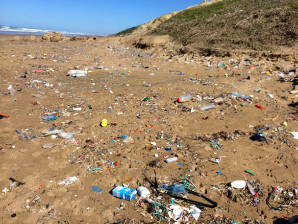 plastic-pollution-coastalcare